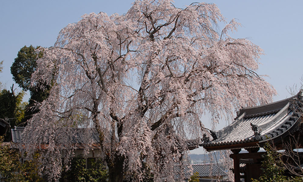 みつくりホテルの周辺観光